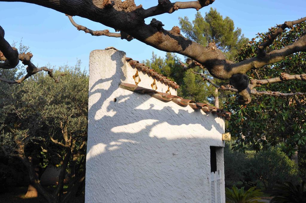 Du Cote De Chez Soi Hotel La Ciotat Bagian luar foto