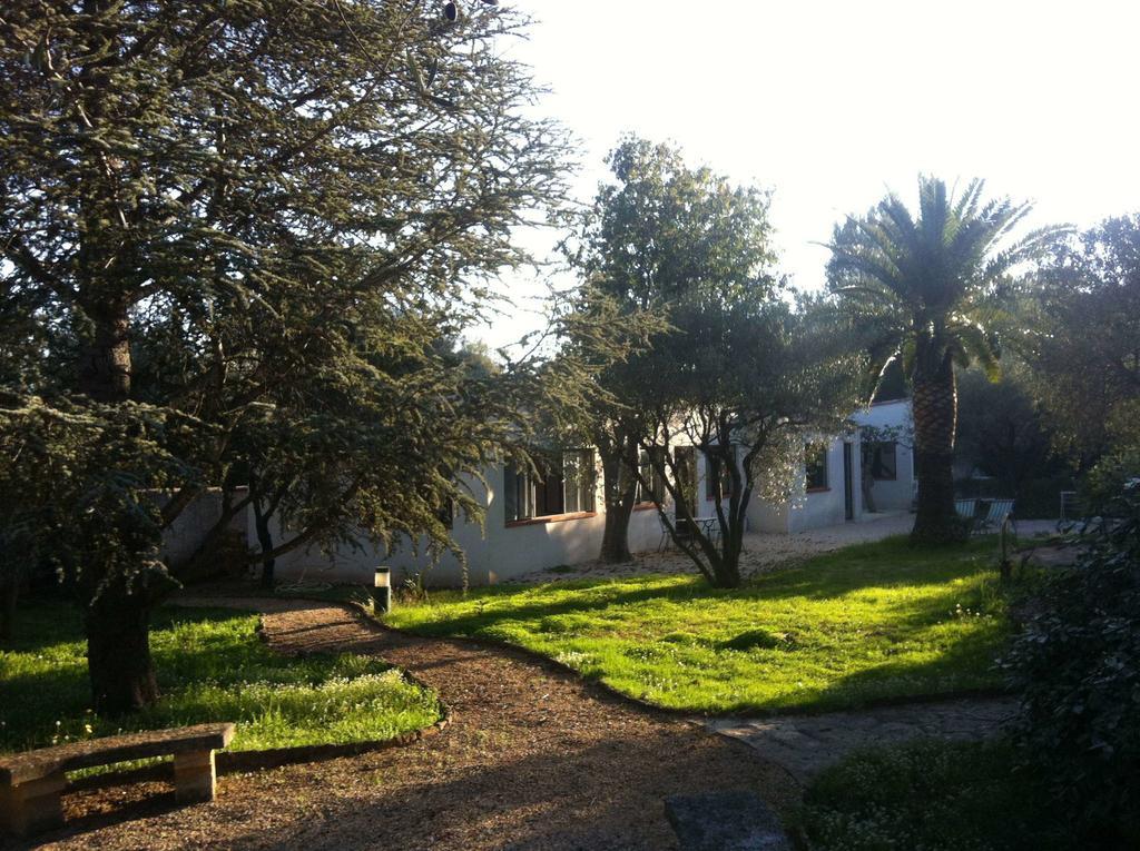 Du Cote De Chez Soi Hotel La Ciotat Ruang foto